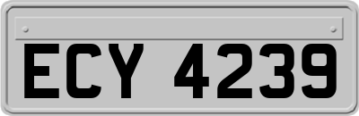 ECY4239