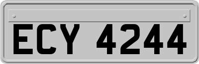 ECY4244