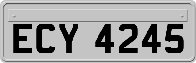 ECY4245