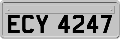 ECY4247