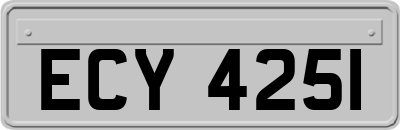 ECY4251