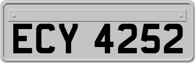 ECY4252