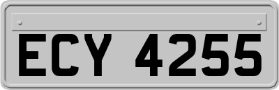ECY4255