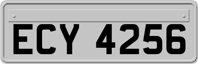 ECY4256