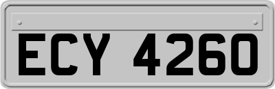 ECY4260