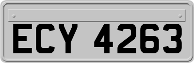 ECY4263