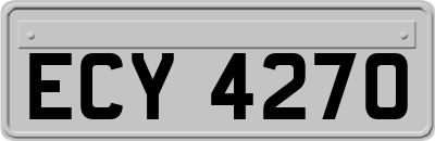 ECY4270