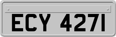 ECY4271