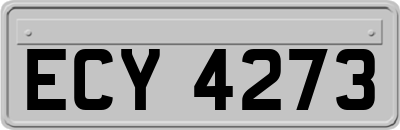 ECY4273