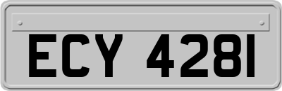 ECY4281