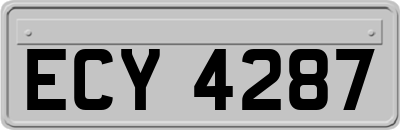 ECY4287