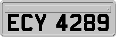 ECY4289