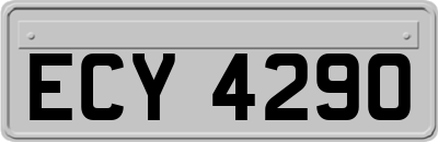 ECY4290