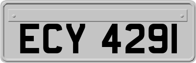 ECY4291