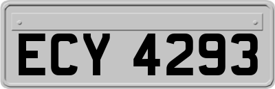 ECY4293