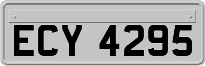 ECY4295