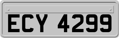 ECY4299