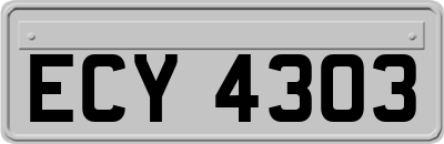 ECY4303
