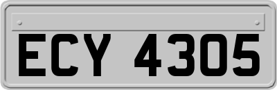ECY4305