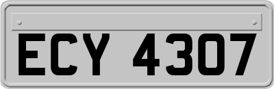 ECY4307