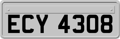ECY4308