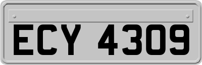 ECY4309