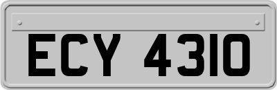 ECY4310