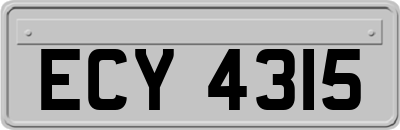 ECY4315
