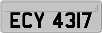 ECY4317