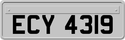 ECY4319