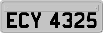 ECY4325
