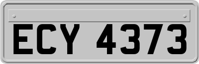 ECY4373