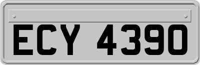 ECY4390