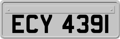ECY4391