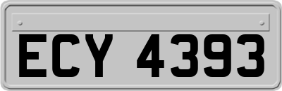 ECY4393