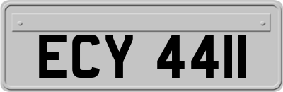 ECY4411