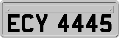 ECY4445