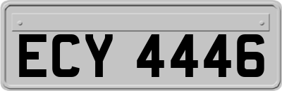 ECY4446