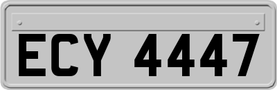 ECY4447