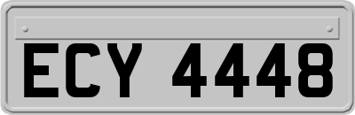ECY4448