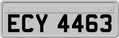 ECY4463