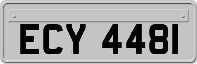 ECY4481