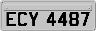 ECY4487