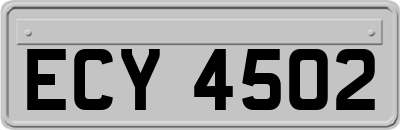 ECY4502