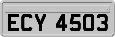 ECY4503