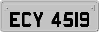 ECY4519
