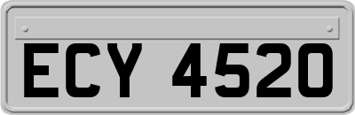 ECY4520