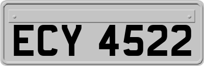 ECY4522