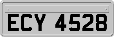 ECY4528