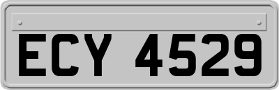 ECY4529
